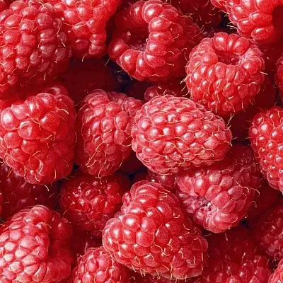 Летняя  Летняя в Белгороде