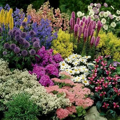 Травы  Травы в Белгороде